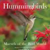 hummingbird front