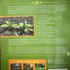 image_67215873