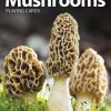 mushroom front