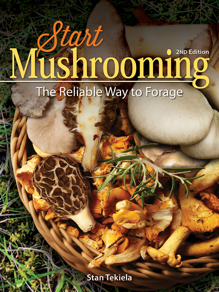 start_mushrooming_2e_9781591938309_FC