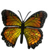 WA002