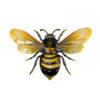 WA009