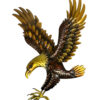 WA017