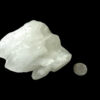 unnamed (12)