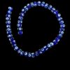 EVIL BEAD 8