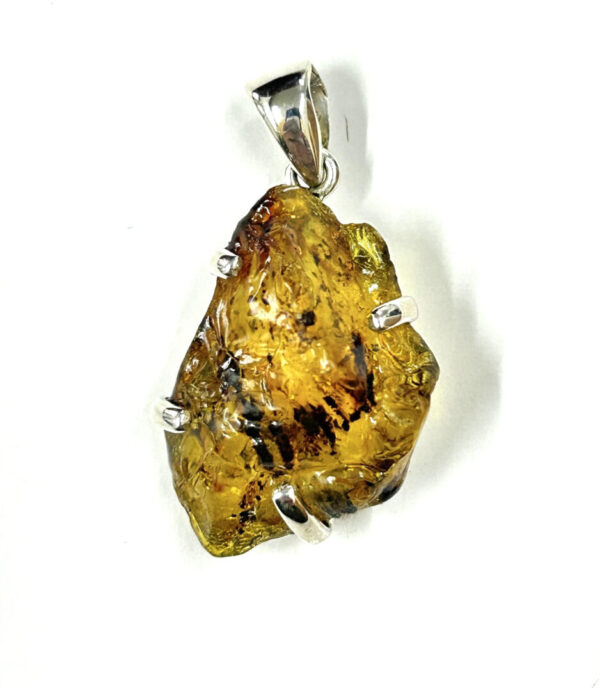 AMBER 2