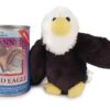 BALD EAGLE.