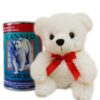 POLAR BEAR.