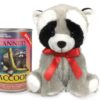 RACCOON
