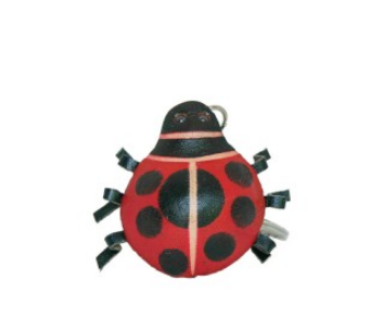 Screenshot 2025-01-21 at 15-06-36 All Other Key Ladybug