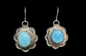 Native American Earrings E46