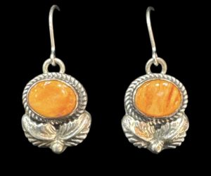 Native American Earrings E53