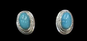 Native American Earrings E59